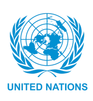 pt-flag_onu